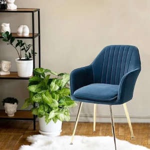 Top Soft Cushion Dining Chair